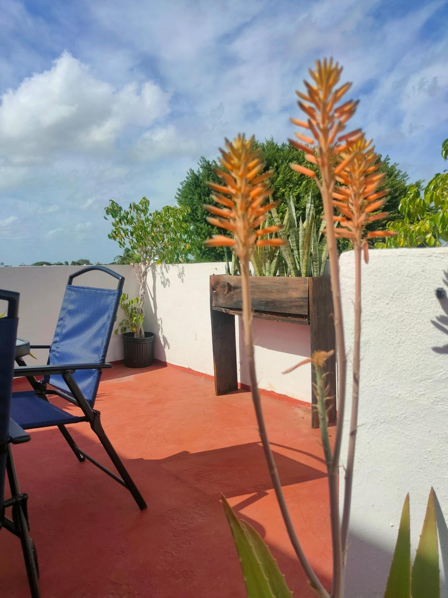 Casa Coraza Apartment Cancun Ngoại thất bức ảnh