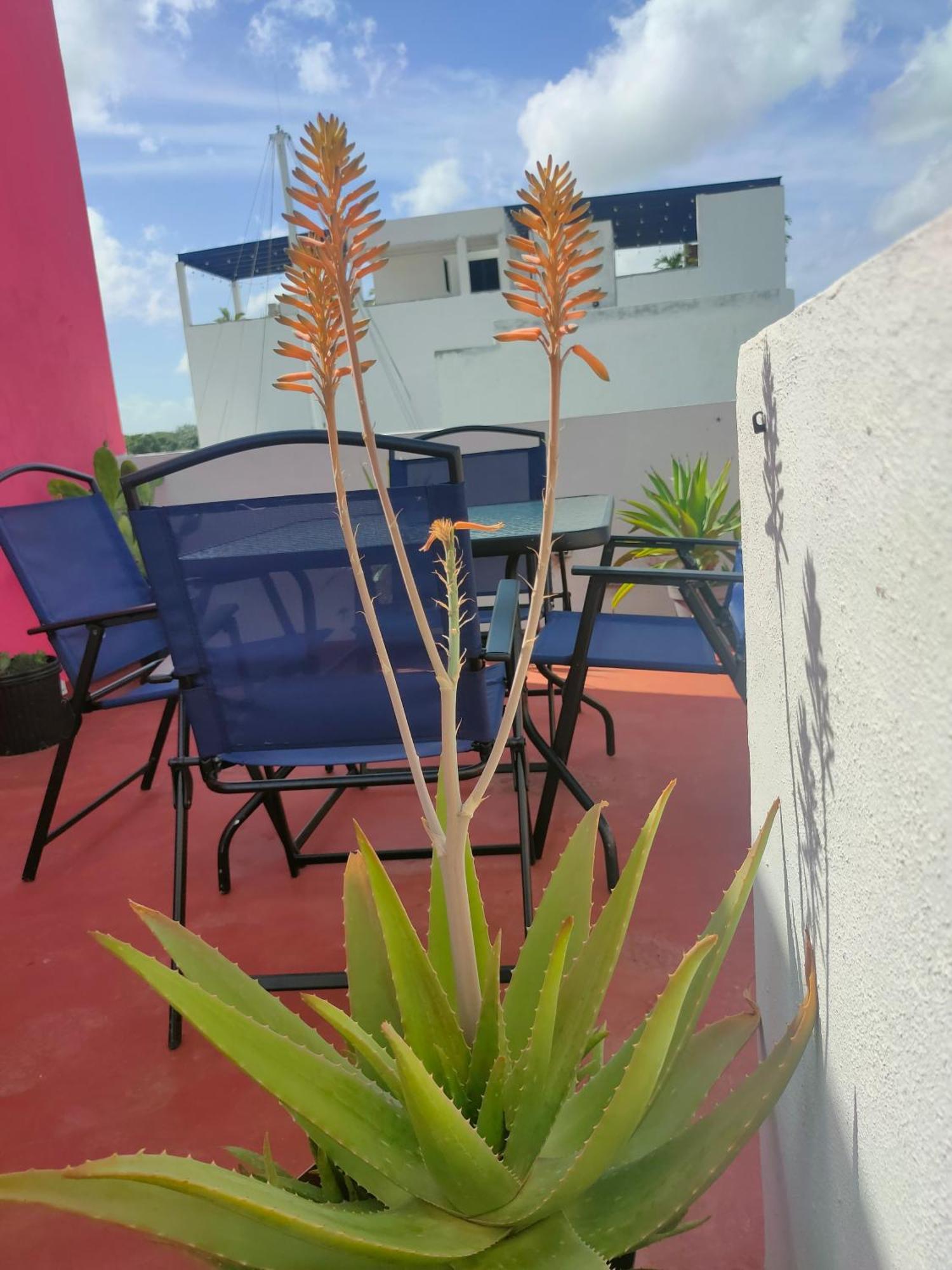 Casa Coraza Apartment Cancun Ngoại thất bức ảnh