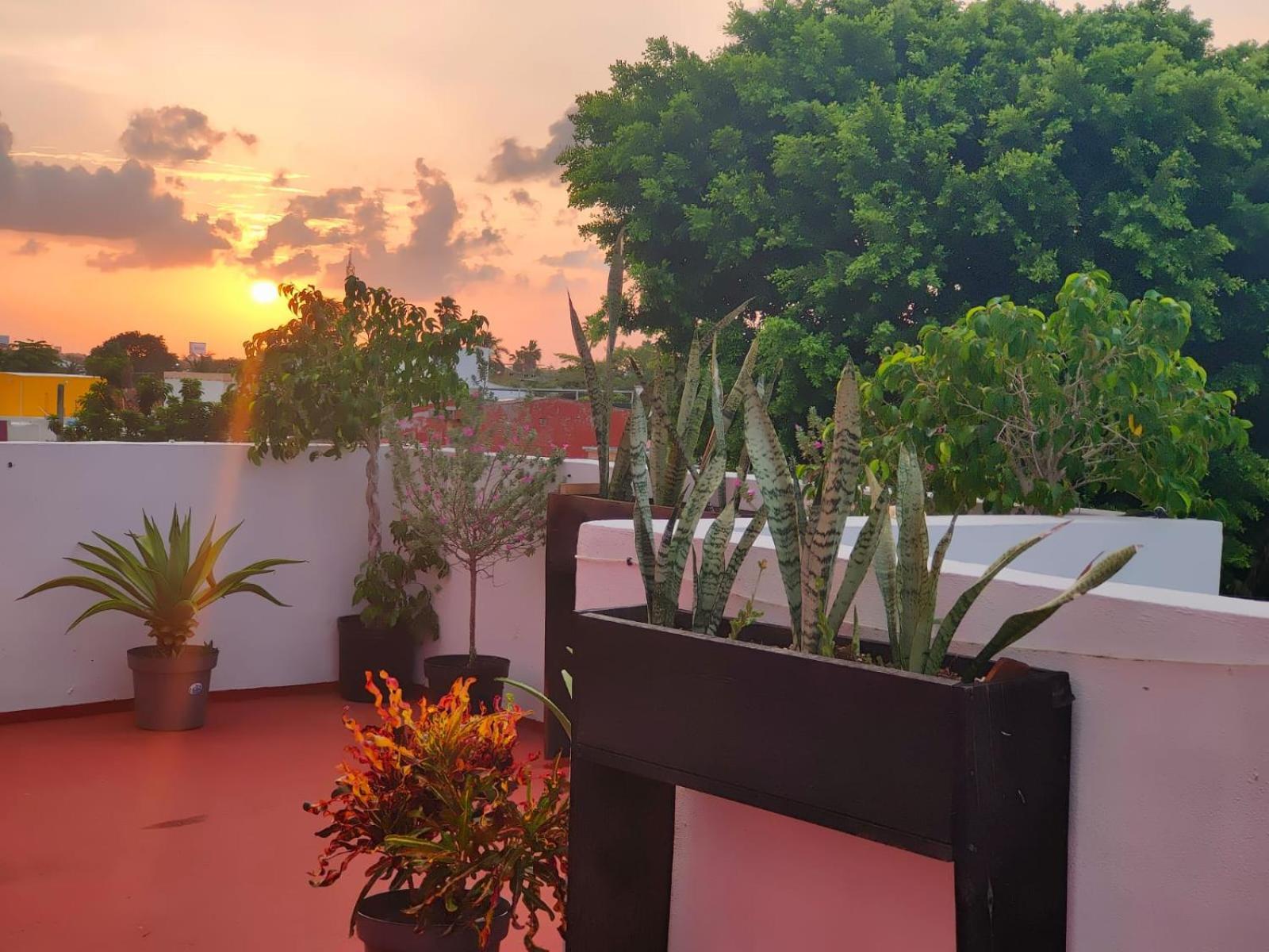 Casa Coraza Apartment Cancun Ngoại thất bức ảnh